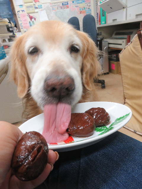 ファイル 5935-4.jpg