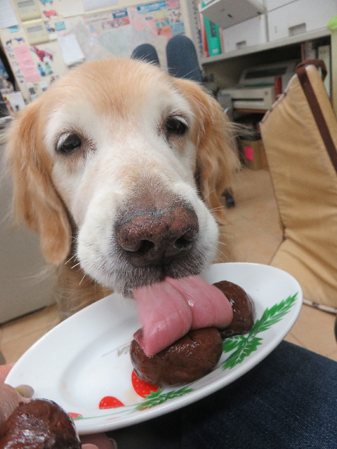 ファイル 5935-5.jpg