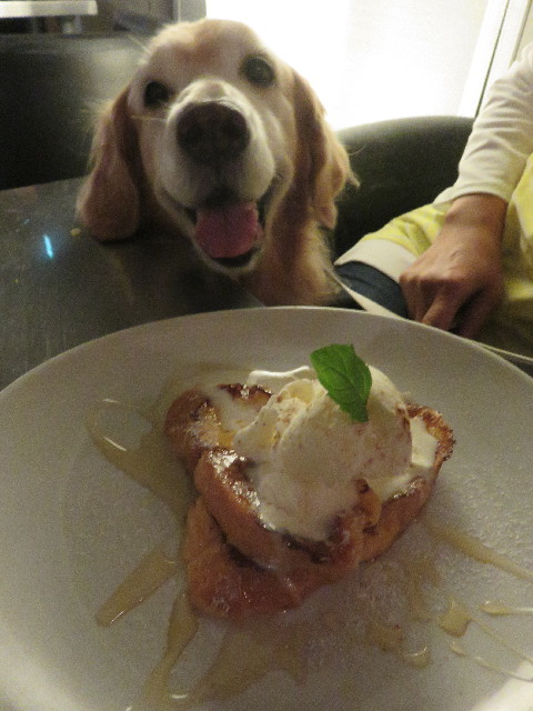 ファイル 5939-1.jpg