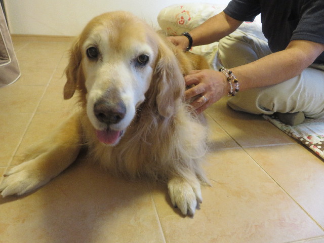 ファイル 5939-4.jpg