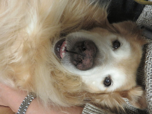 ファイル 5939-5.jpg