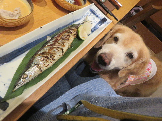 ファイル 5940-3.jpg