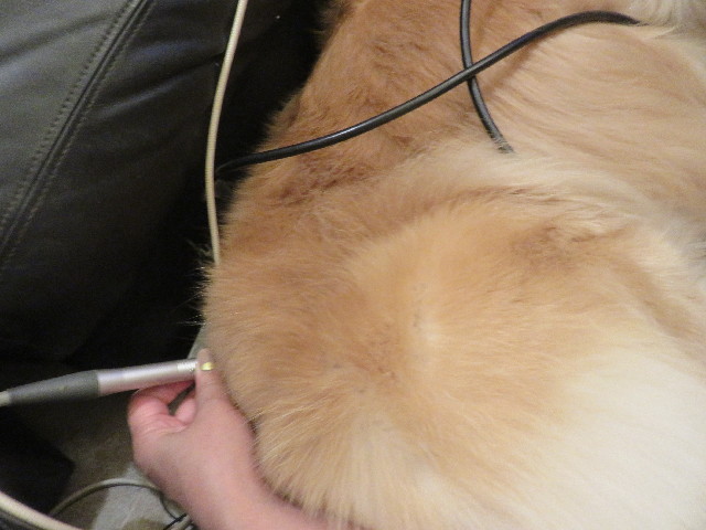 ファイル 5941-1.jpg