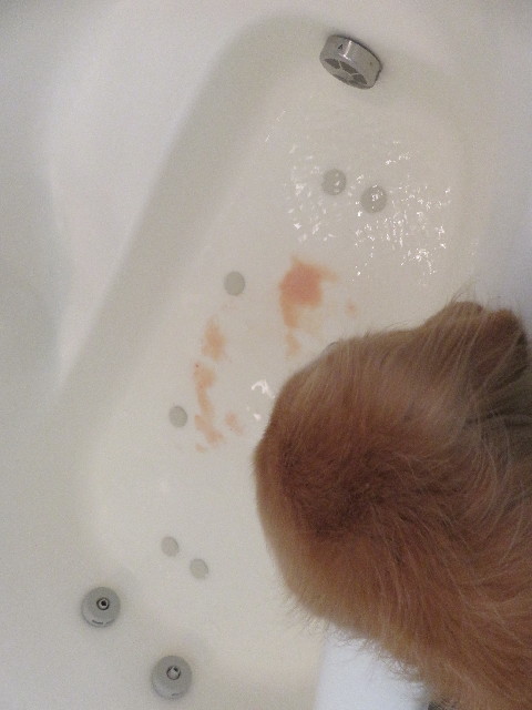 ファイル 5941-3.jpg