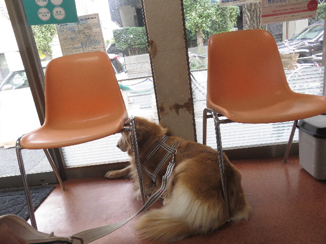 ファイル 5942-1.jpg