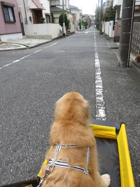 ファイル 5943-2.jpg