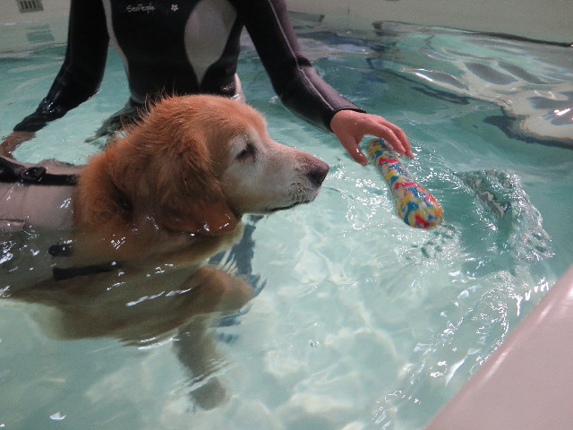 ファイル 5944-3.jpg