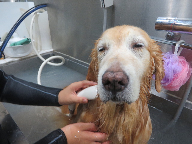 ファイル 5944-4.jpg