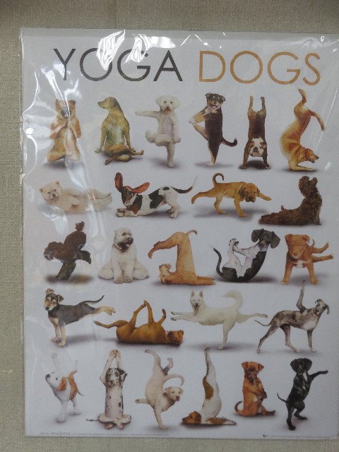 ファイル 5945-1.jpg