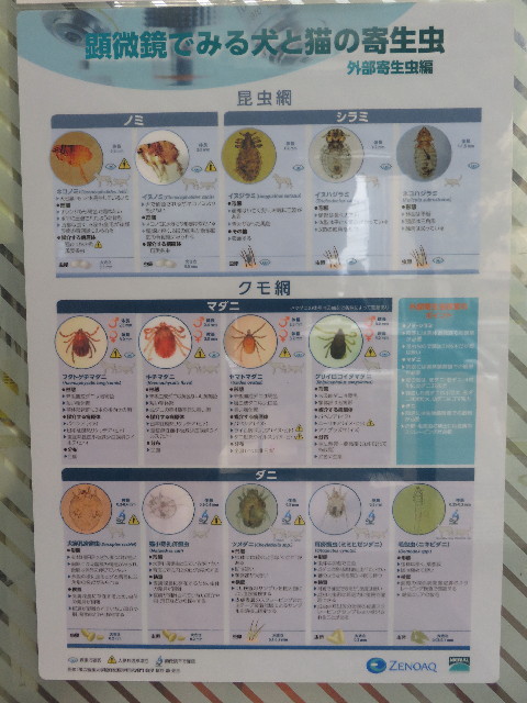 ファイル 5945-3.jpg