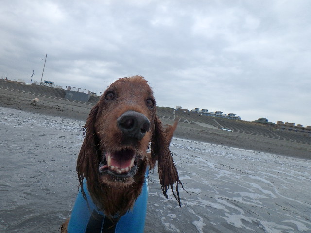 ファイル 5946-4.jpg