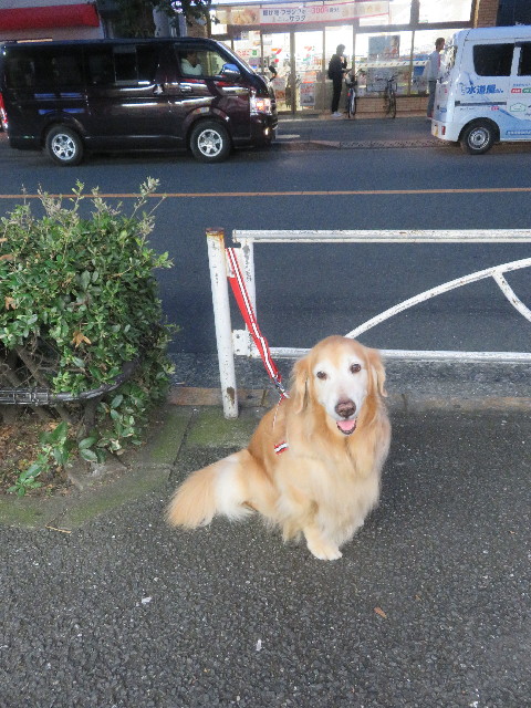 ファイル 5947-5.jpg