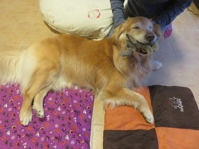 ファイル 5948-5.jpg