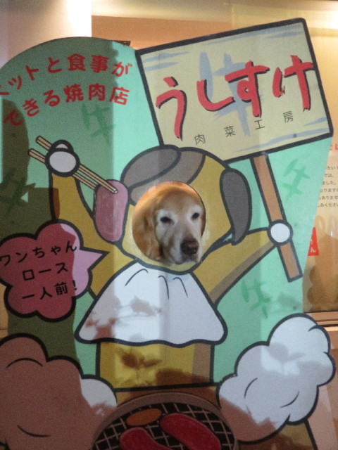 ファイル 5949-2.jpg