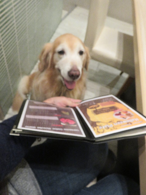 ファイル 5949-3.jpg