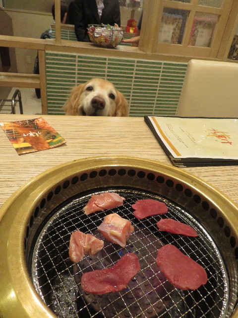 ファイル 5949-4.jpg