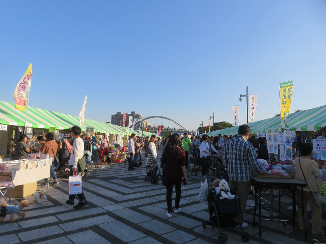 ファイル 5950-1.jpg