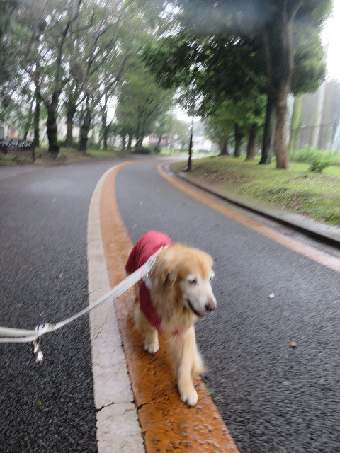 ファイル 5952-2.jpg