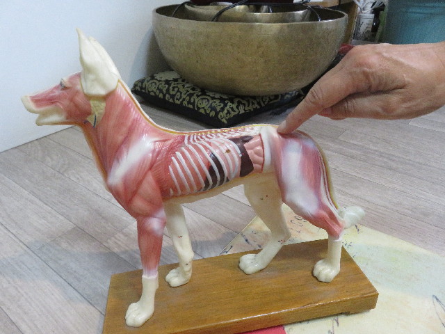 ファイル 5953-1.jpg