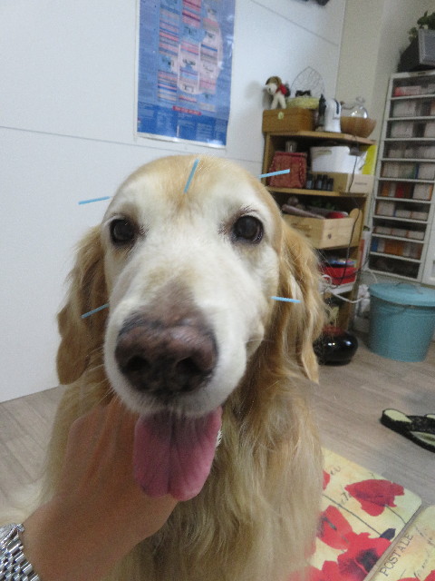 ファイル 5953-5.jpg