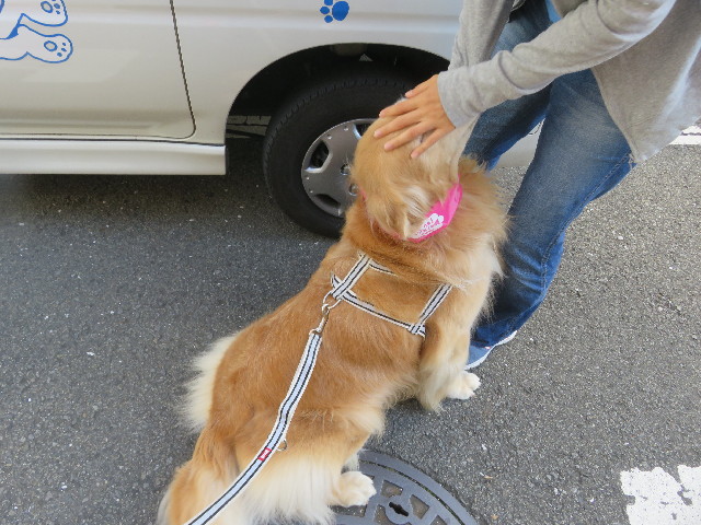 ファイル 5954-2.jpg