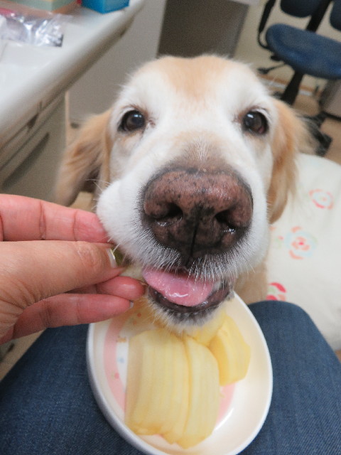 ファイル 5954-5.jpg