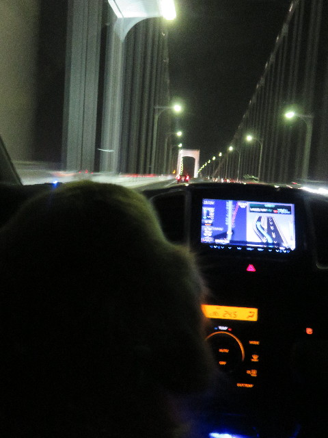 ファイル 5956-1.jpg