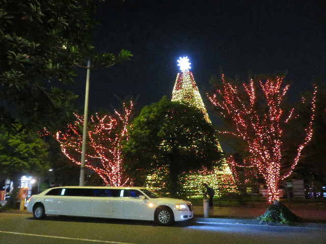 ファイル 5956-2.jpg