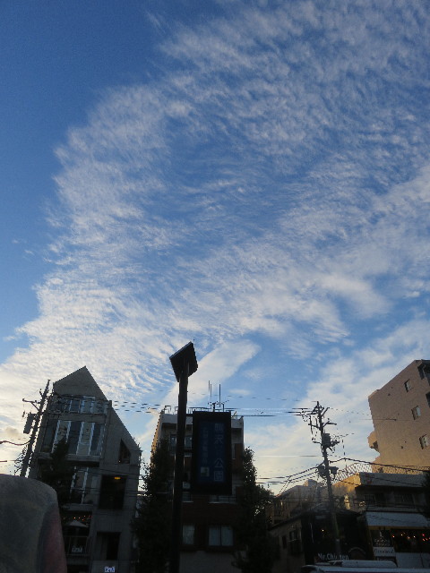 ファイル 5957-1.jpg