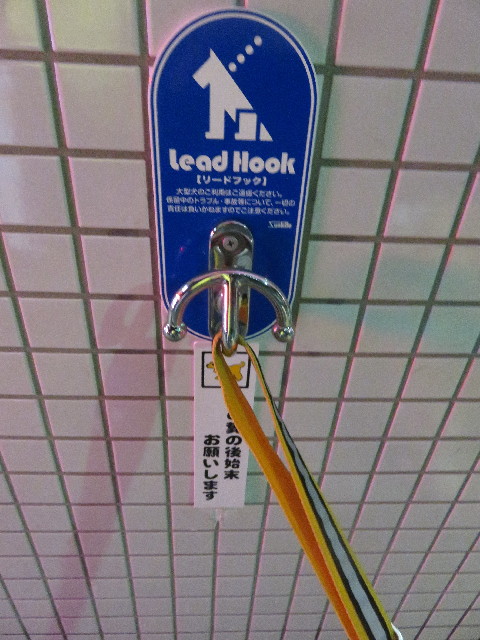 ファイル 5957-4.jpg