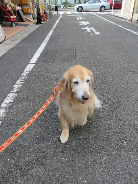 ファイル 5958-3.jpg