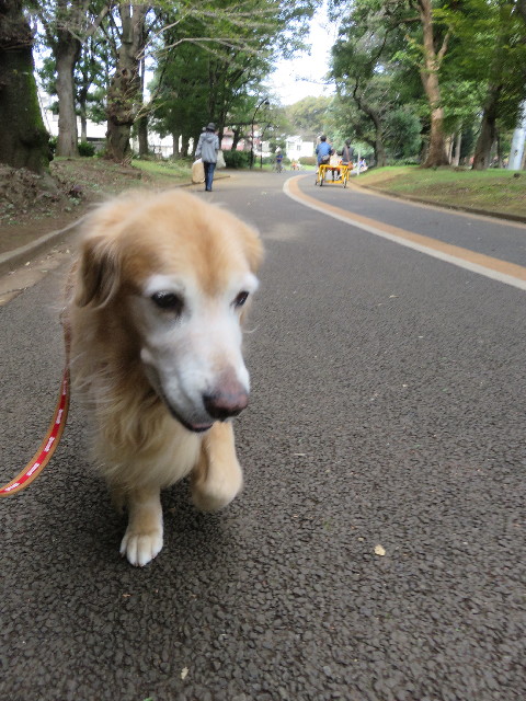 ファイル 5958-4.jpg