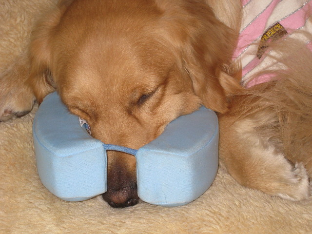 ファイル 596-3.jpg