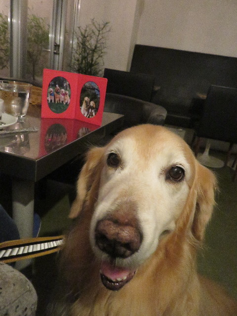 ファイル 5961-2.jpg