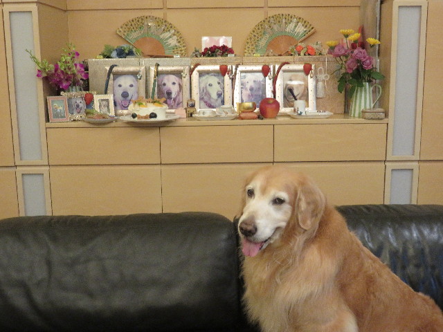 ファイル 5961-4.jpg