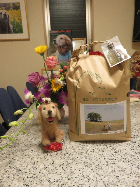 ファイル 5962-1.jpg