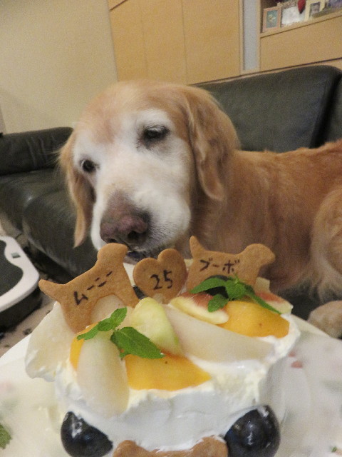 ファイル 5962-4.jpg