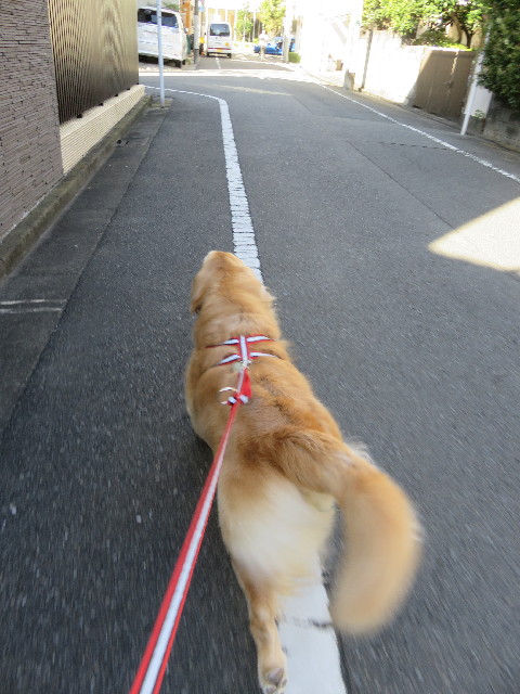 ファイル 5963-1.jpg