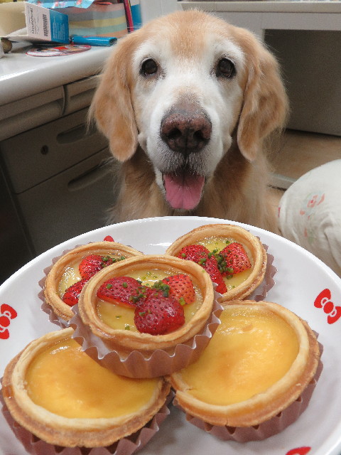 ファイル 5963-5.jpg