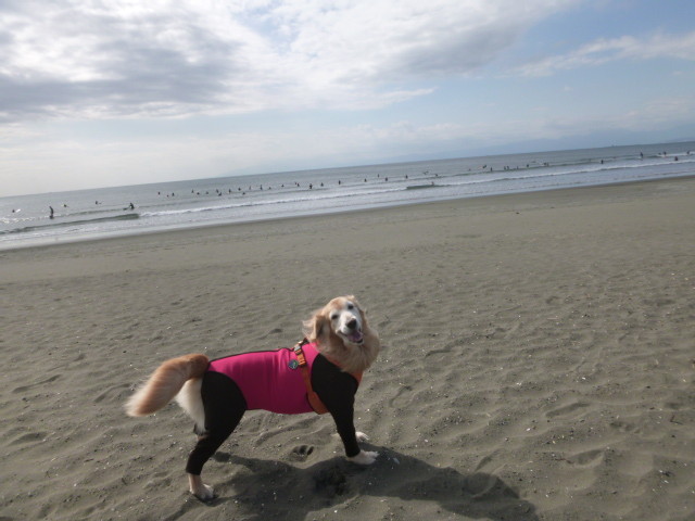 ファイル 5964-1.jpg