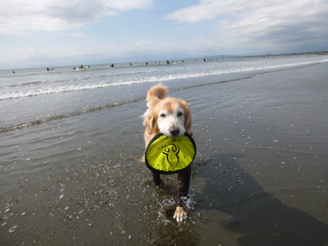 ファイル 5964-5.jpg