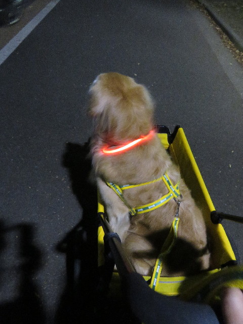 ファイル 5965-1.jpg