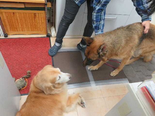 ファイル 5966-1.jpg