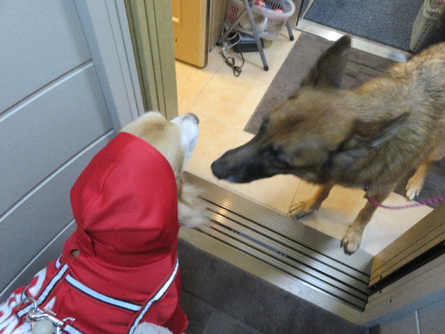 ファイル 5966-2.jpg