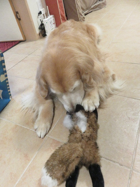 ファイル 5966-5.jpg