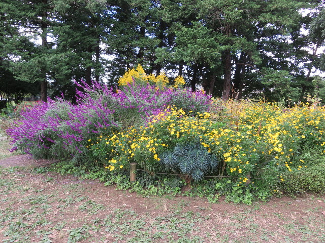 ファイル 5968-1.jpg