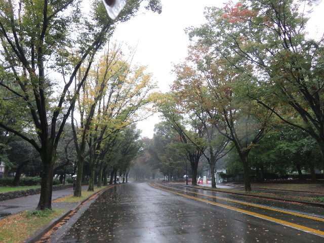 ファイル 5968-2.jpg