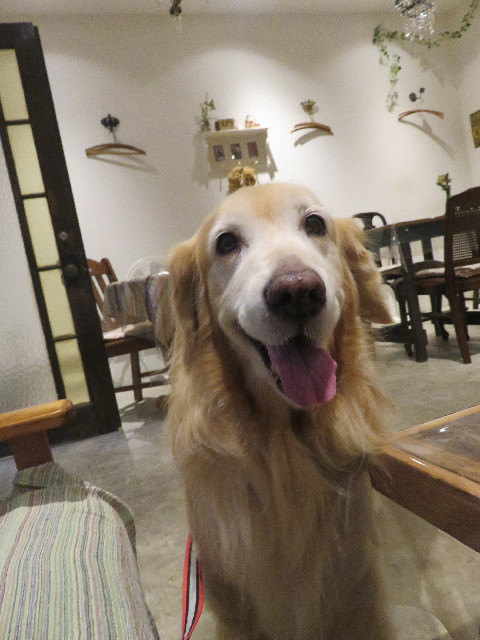 ファイル 5968-4.jpg