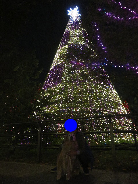 ファイル 5968-5.jpg