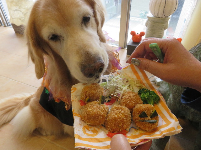 ファイル 5969-4.jpg